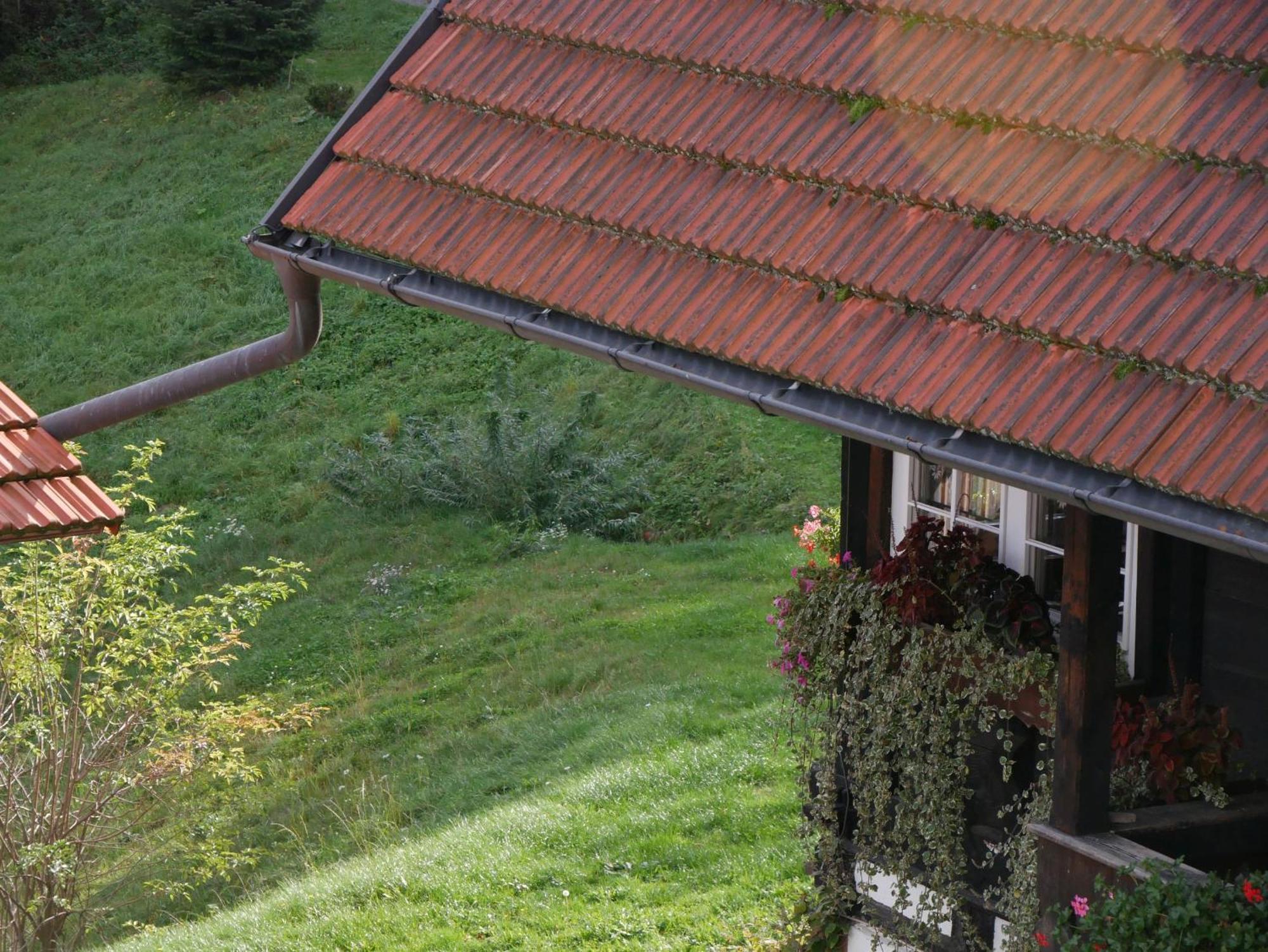 Schwarzwald Buchenhof Vila Zell am Harmersbach Exterior foto