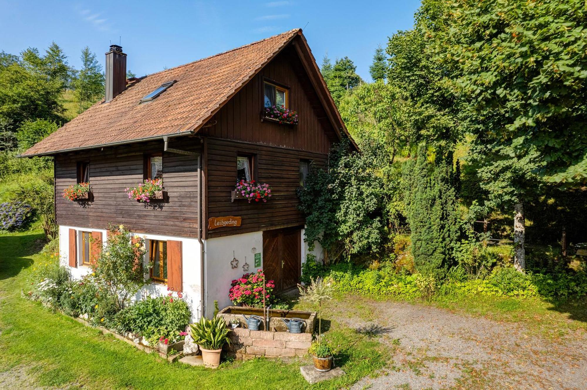 Schwarzwald Buchenhof Vila Zell am Harmersbach Exterior foto